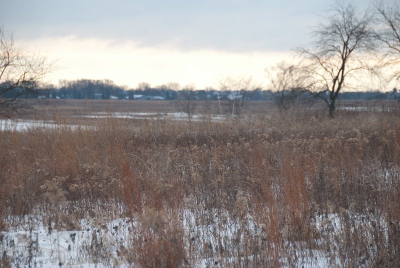 Xmas2010-7367.jpg - JACK KOZIK