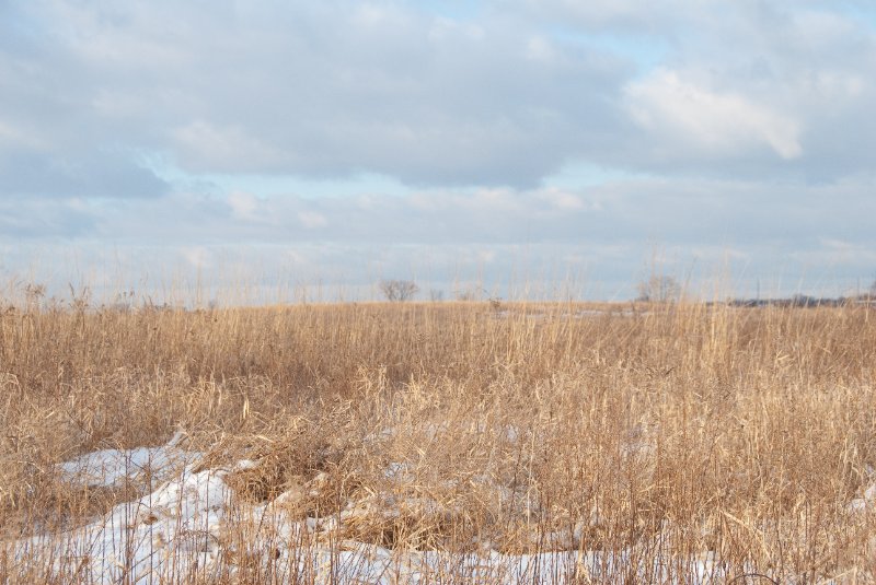 Xmas2010-7379.jpg - JACK KOZIK