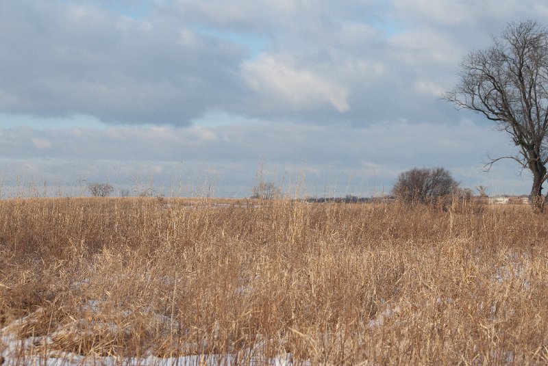 Xmas2010-7380.jpg - JACK KOZIK