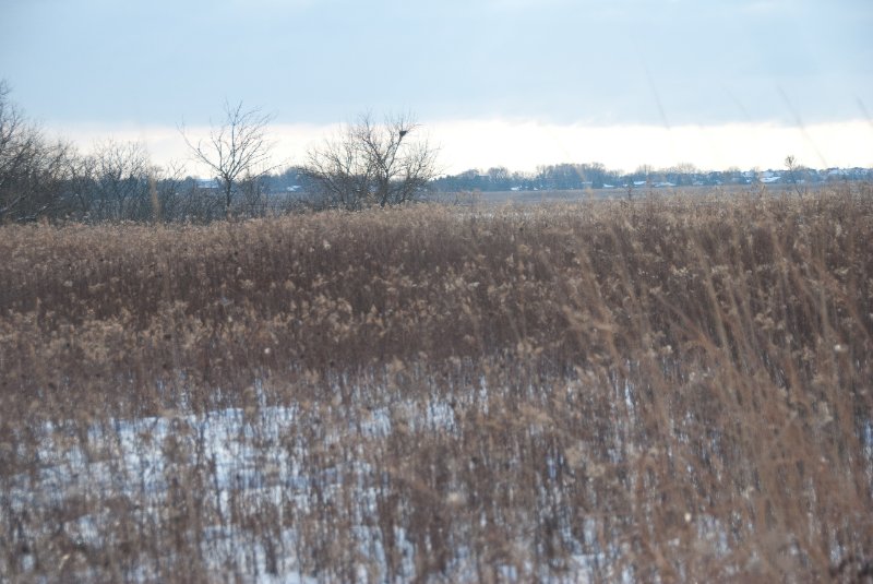 Xmas2010-7384.jpg - JACK KOZIK