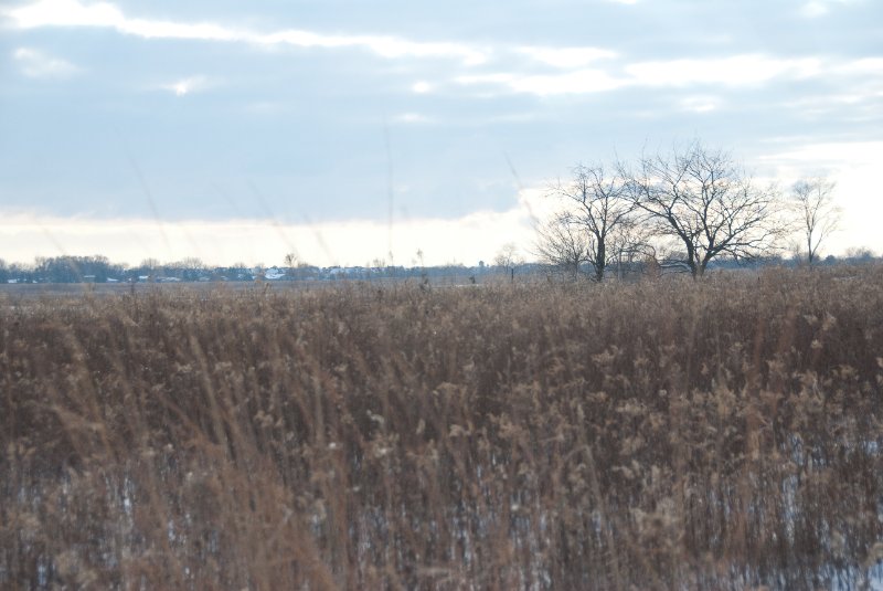 Xmas2010-7385.jpg - JACK KOZIK