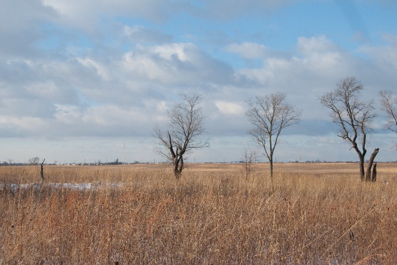 Xmas2010-7386.jpg - JACK KOZIK