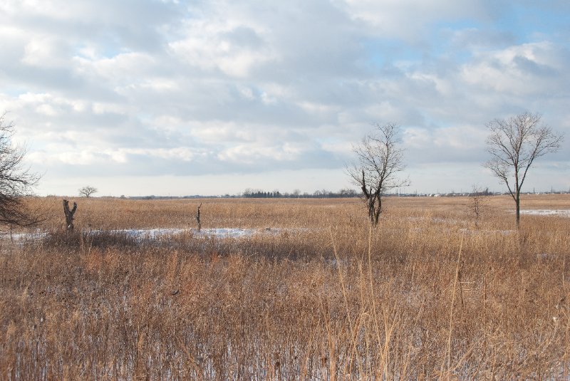 Xmas2010-7387.jpg - JACK KOZIK