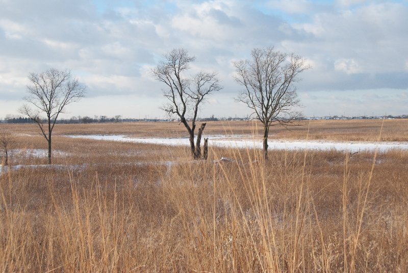 Xmas2010-7388.jpg - JACK KOZIK