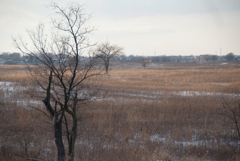 Xmas2010-7390.jpg - JACK KOZIK