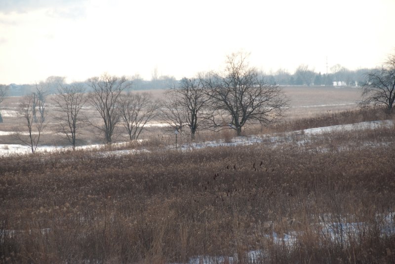 Xmas2010-7391.jpg - JACK KOZIK