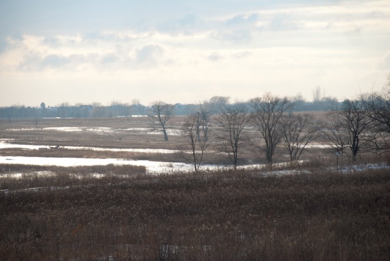 Xmas2010-7392.jpg - JACK KOZIK