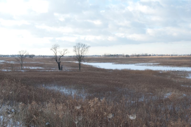 Xmas2010-7393.jpg - JACK KOZIK