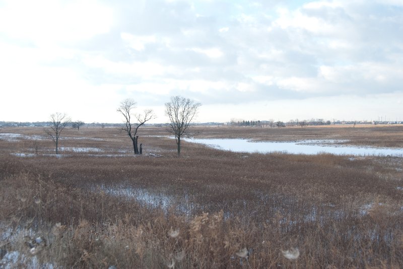 Xmas2010-7394.jpg - JACK KOZIK