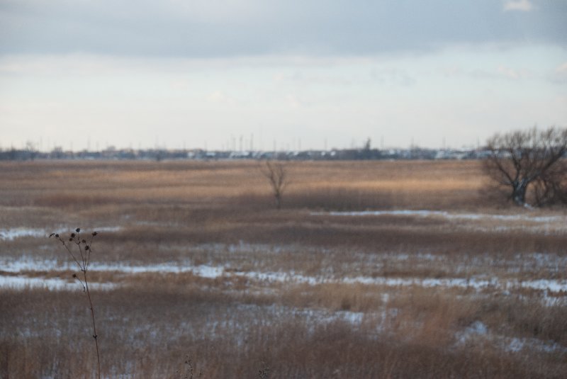 Xmas2010-7414.jpg - JACK KOZIK