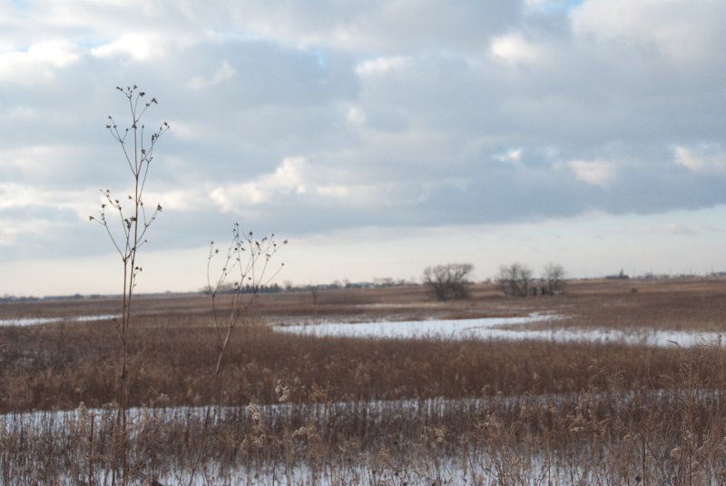 Xmas2010-7426.jpg - JACK KOZIK