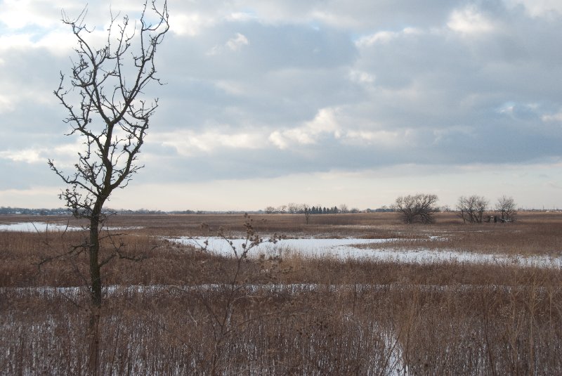 Xmas2010-7428.jpg - JACK KOZIK