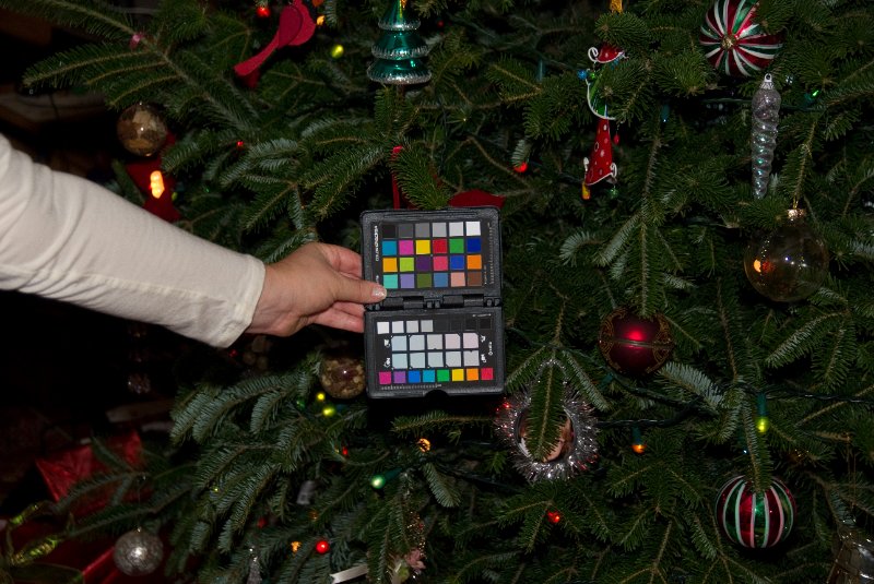 Xmas2010-7507.jpg - Christmas Day