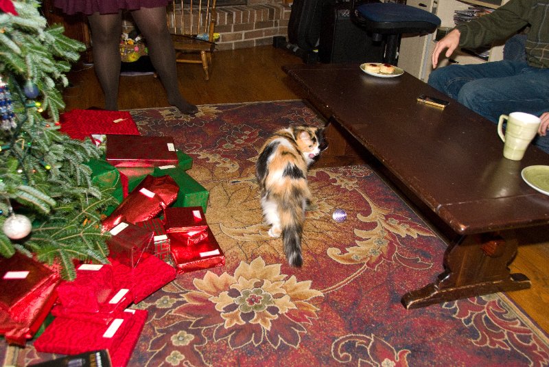 Xmas2010-7528.jpg - Christmas Day