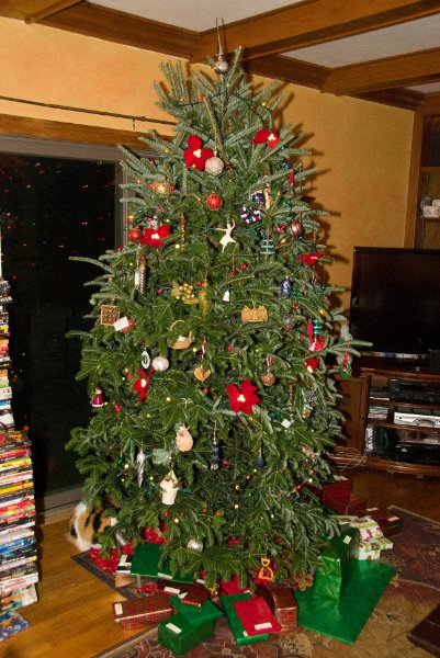 Xmas2010-7263.jpg - Decorating the Christmas Tree