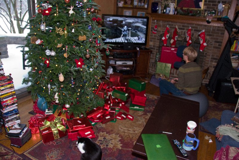 Xmas2010-7431.jpg - Decorating the Christmas Tree