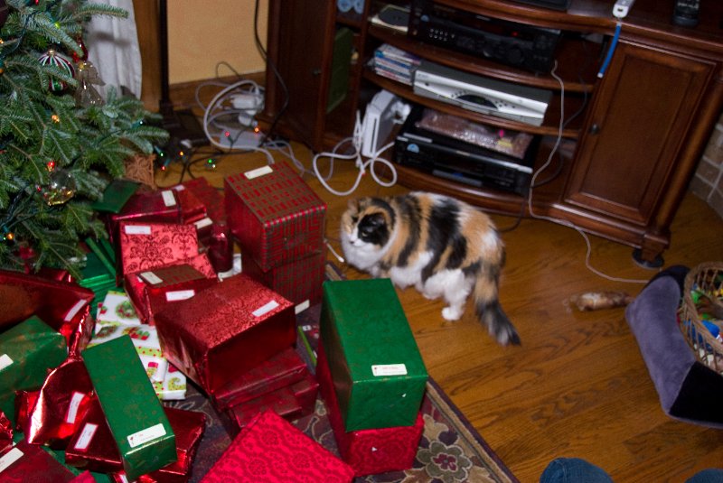 Xmas2010-7435.jpg - Christmas Eve