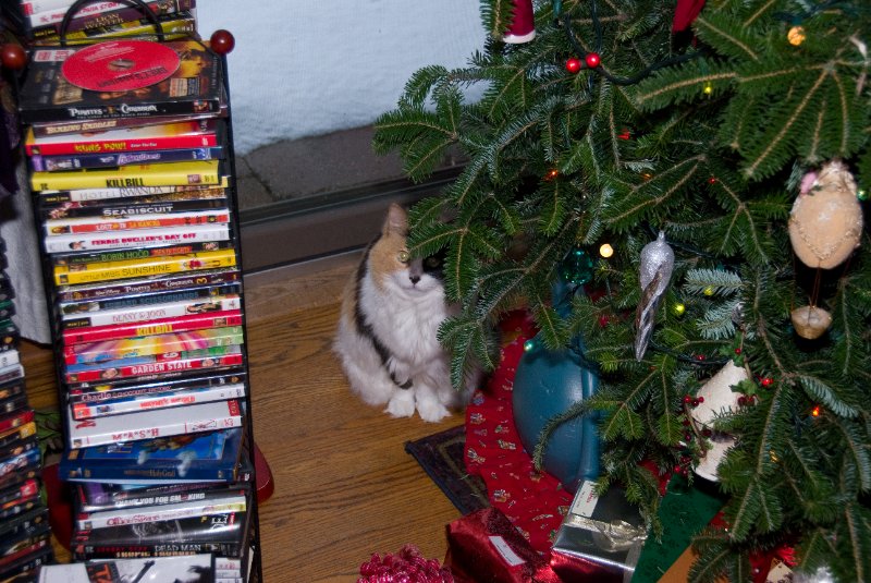 Xmas2010-7438.jpg - Christmas Eve