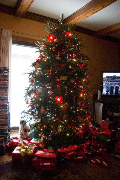 Xmas2010-7442.jpg - Christmas Eve