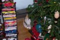 Xmas2010-7438