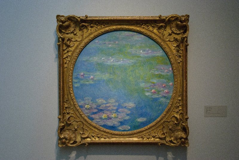 DMA111110-6781.jpg - Claude Monet, "Water Lilies," 1908.