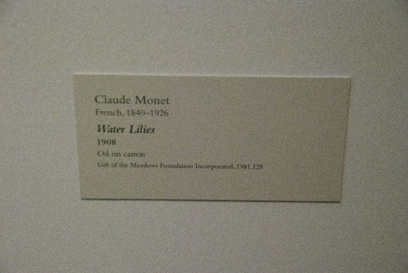 DMA111110-6782.jpg - Claude Monet, "Water Lilies," 1908.
