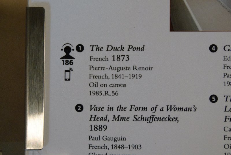 DMA111110-6829.jpg - Pierre-Auguste Renoir,"The Duck Pond," 1873.