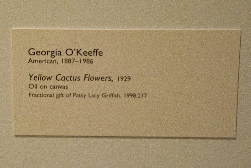 DMA111110-6851.jpg - Georgia O'Keeffe, "Yellow Cactus Flowers," 1929.