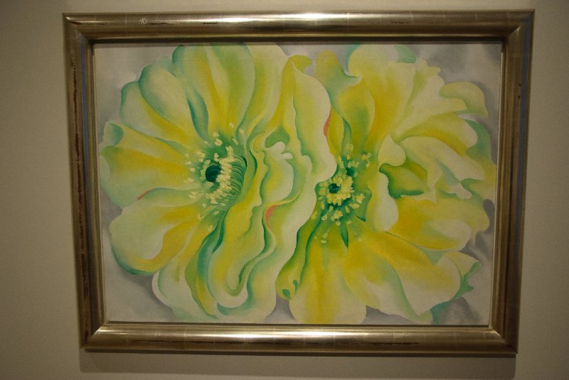 DMA111110-6850.jpg - Georgia O'Keeffe, "Yellow Cactus Flowers," 1929.