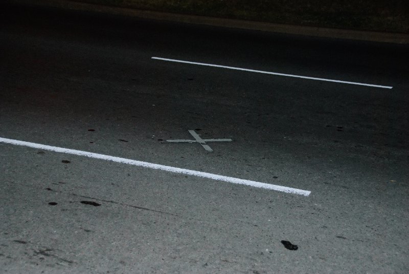 Dallas110910-6724nn.jpg - "X" - JFK Shot here.