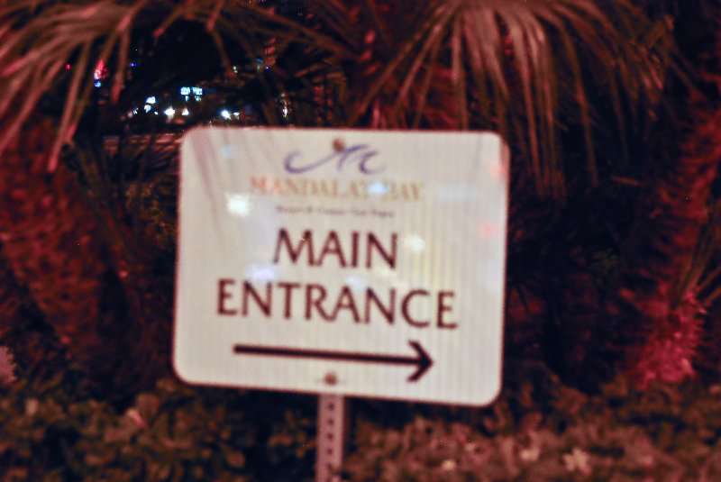 LasVegas020910-0814.jpg - Mandalay Bay Main Entrance