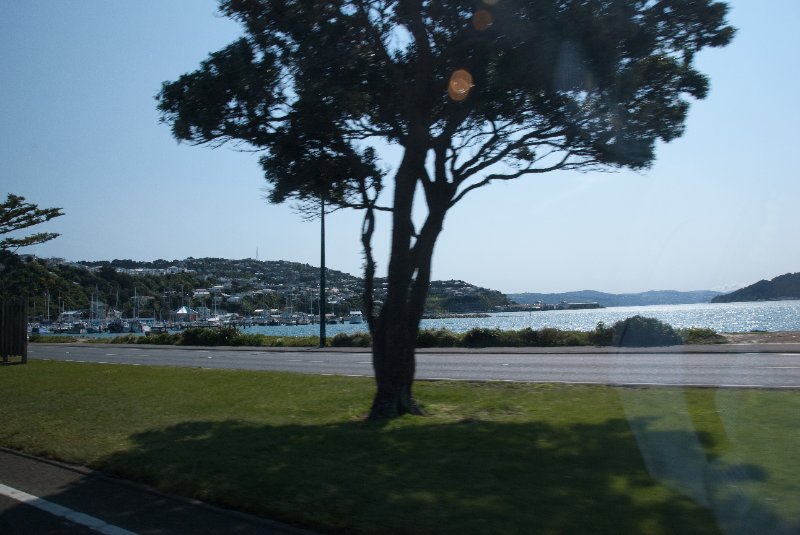 DSC_5894.jpg - Evans Bay, Driving from Wellington Airport to Duxton Hotel