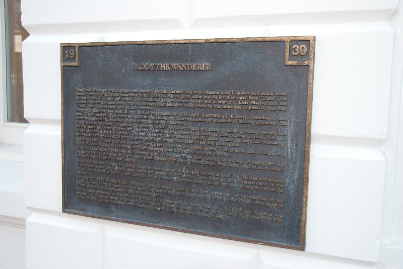 DSC_6087.jpg - Paddy The Wanderer