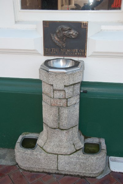 DSC_6088.jpg - Paddy The Wanderer