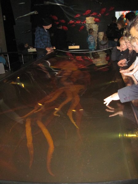 IMG_2019.jpg - Te Papa Museum