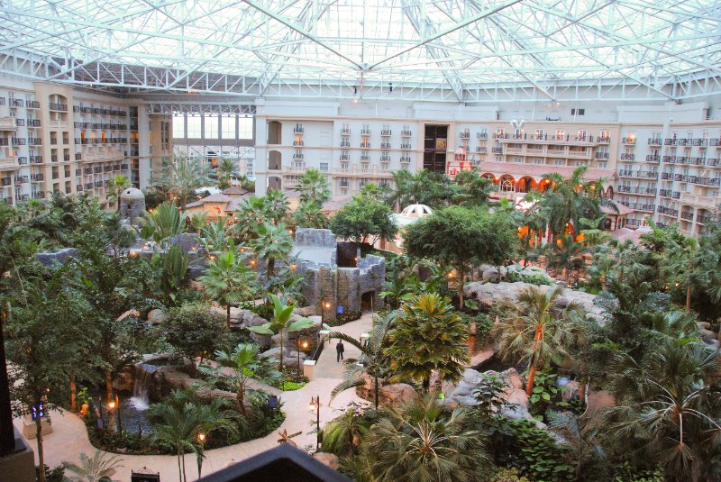Orlando020110-0661.jpg - View from my room. Atrium of Gaylord Palms Convention Center, Orlando