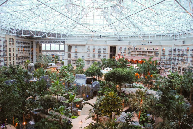 Orlando020110-0664.jpg - View from my room. Atrium of Gaylord Palms Convention Center, Orlando
