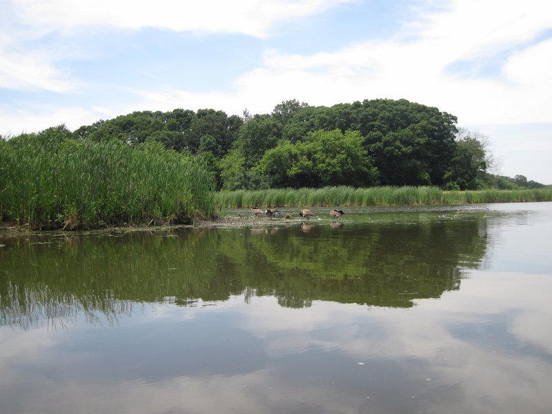 BusseKayak070911-2657.jpg - Kayak Busse Forest Nature Preserve