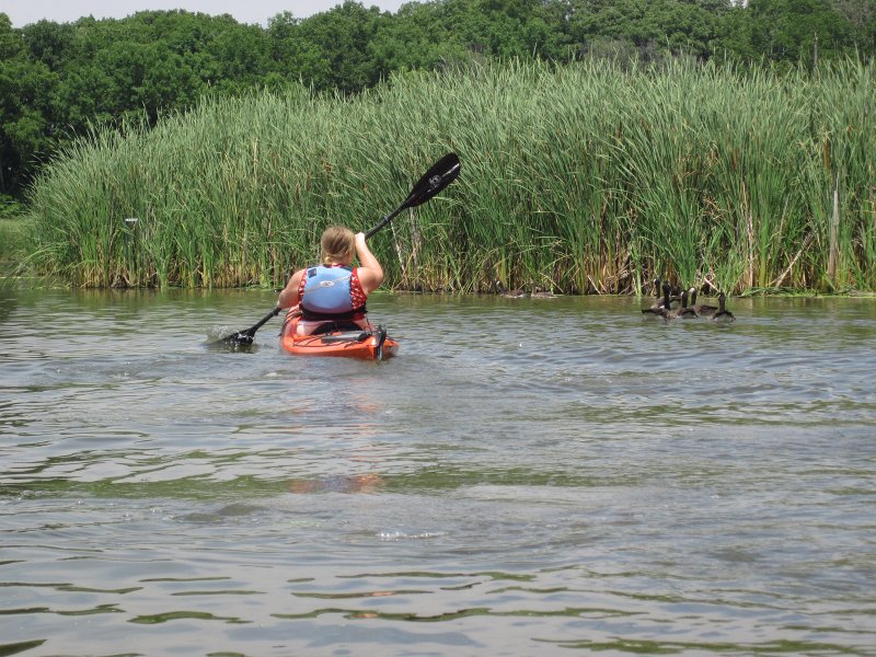BusseKayak070911-2671.jpg - Kayak Busse Forest Nature Preserve