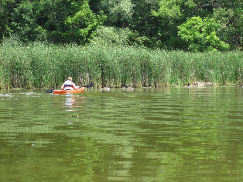 BusseKayak070911-2676.jpg - Kayak Busse Forest Nature Preserve
