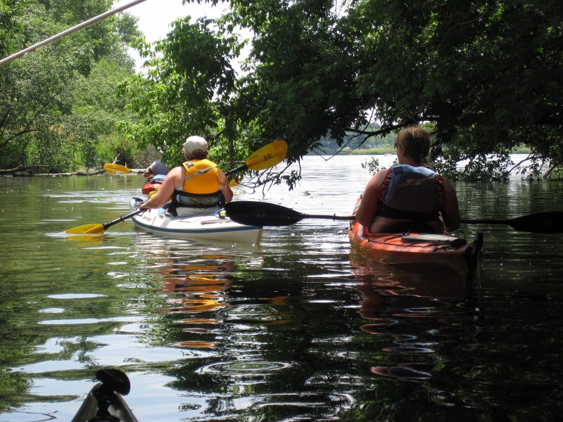 BusseKayak070911-2690.jpg - Kayak Busse Forest Nature Preserve