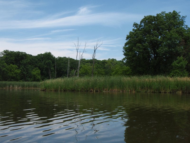 BusseKayak070911-7090005.jpg - Kayak Busse Forest Nature Preserve