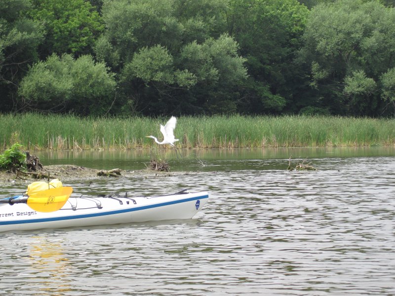 BusseKayak071011-2745.jpg - Kayak Busse Forest Nature Preserve