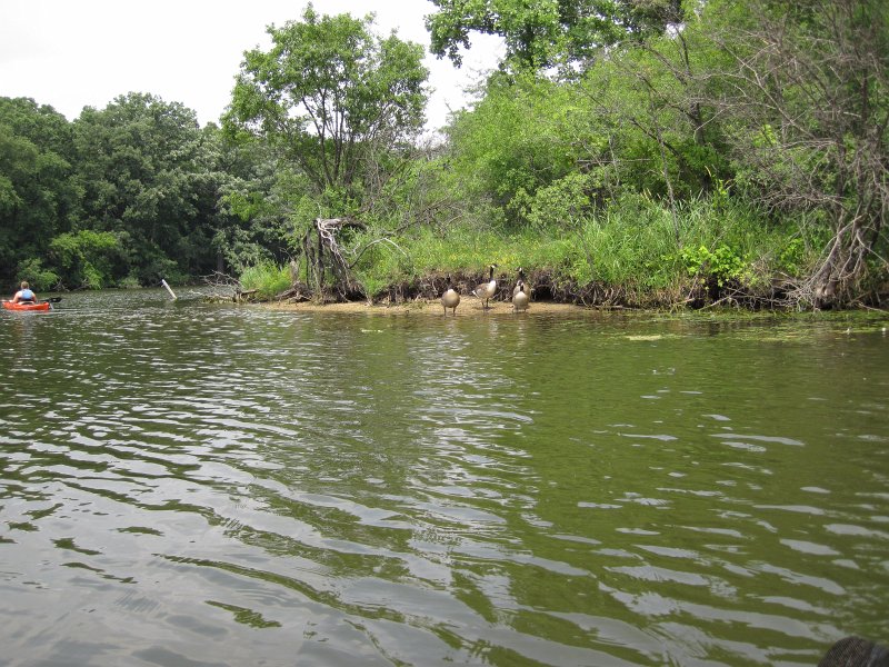 BusseKayak071011-2791.jpg - Kayak Busse Forest Nature Preserve