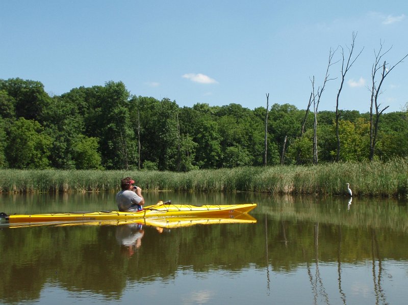 BusseKayak073111-7310010.jpg - Jack taking a picture of a nicely posing Great Egret