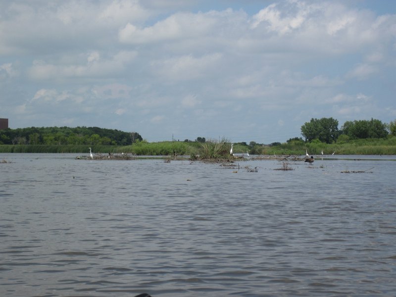 BusseKayak080711-3072.jpg - Kayak Busse Woods Forest Preserve