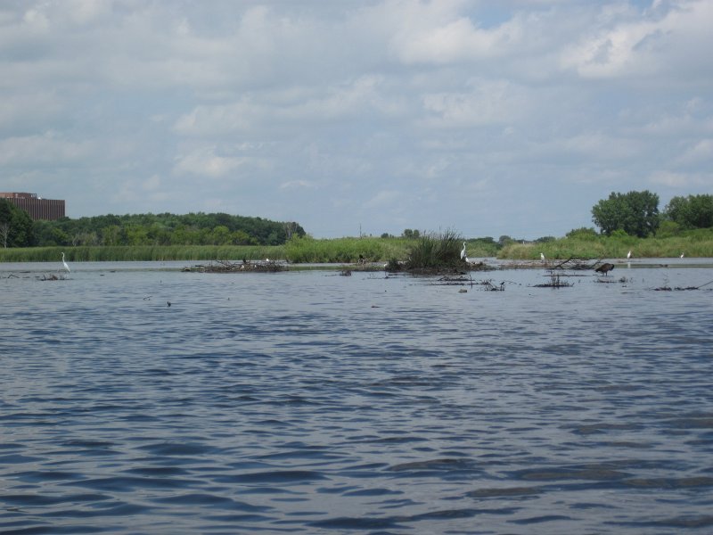 BusseKayak080711-3074.jpg - Kayak Busse Woods Forest Preserve