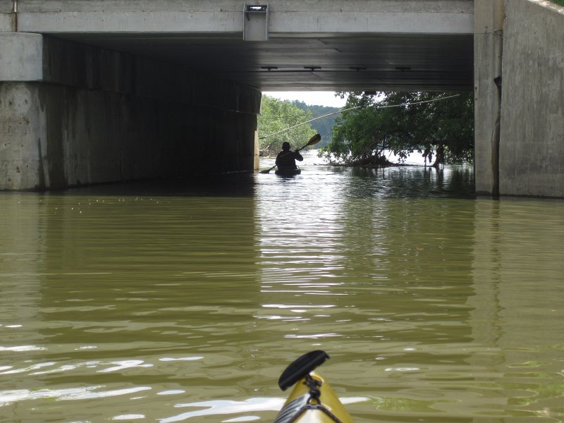 BusseKayak080711-3090.jpg - Kayak Busse Woods Forest Preserve