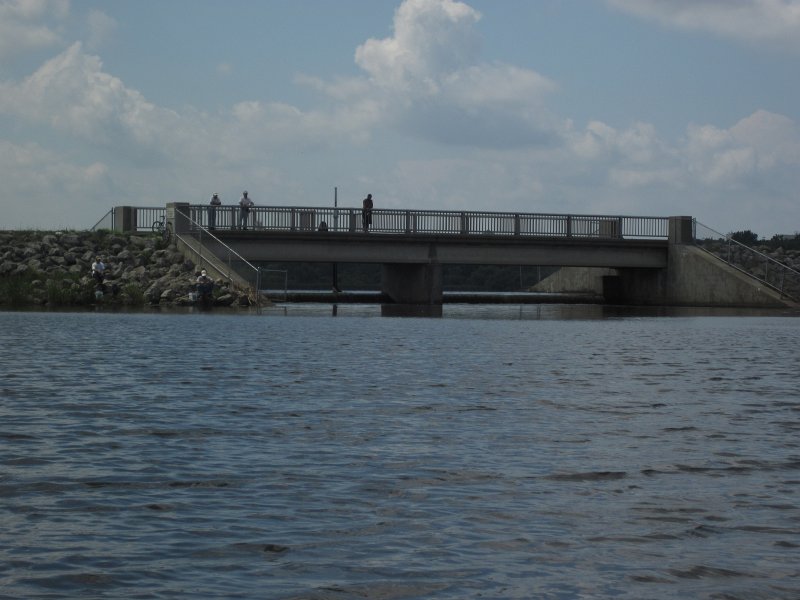 BusseKayak080711-3092.jpg - Kayak Busse Woods Forest Preserve