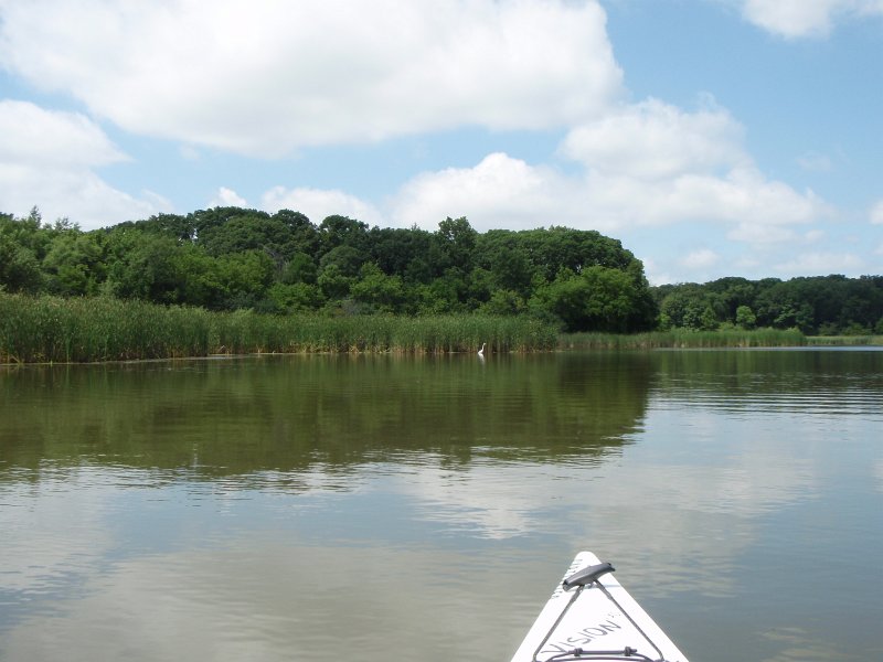 BusseKayak080711-8070001.jpg - Kayak Busse Woods Forest Preserve